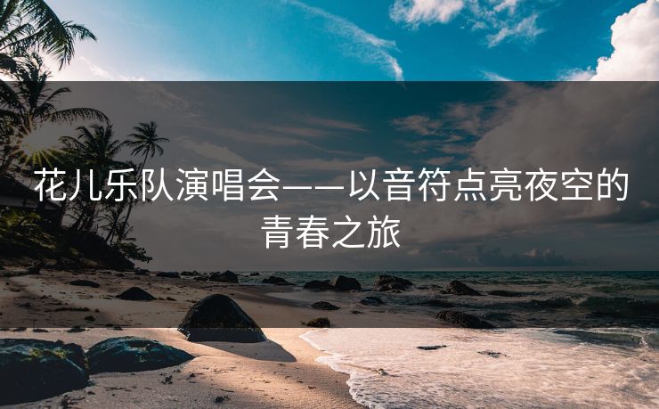 花儿乐队演唱会——以音符点亮夜空的青春之旅