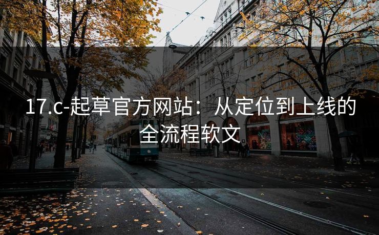 17.c-起草官方网站：从定位到上线的全流程软文