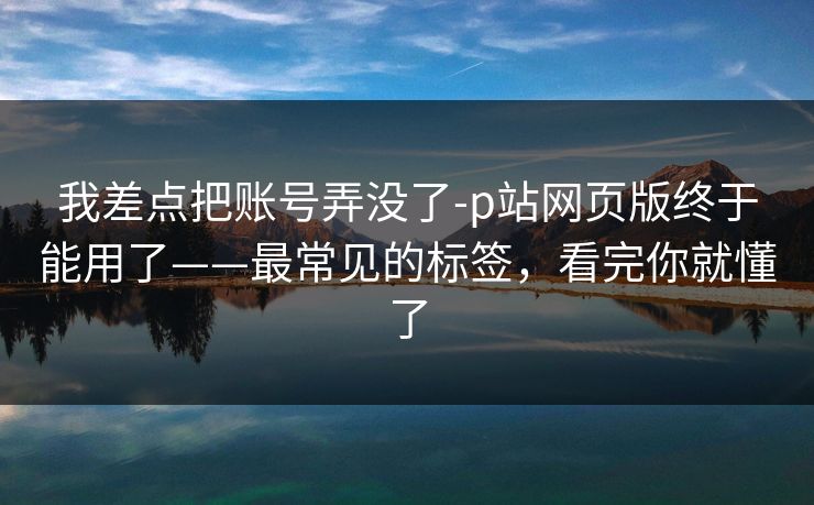 我差点把账号弄没了-p站网页版终于能用了——最常见的标签，看完你就懂了