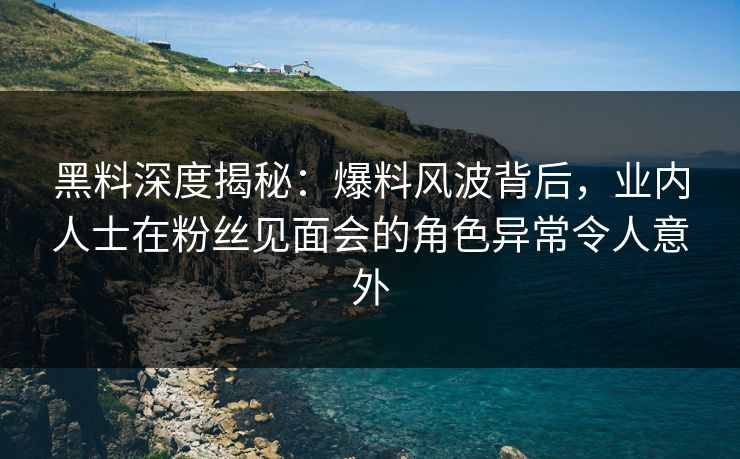 黑料深度揭秘：爆料风波背后，业内人士在粉丝见面会的角色异常令人意外